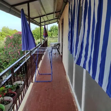 Gabriela بوريتش