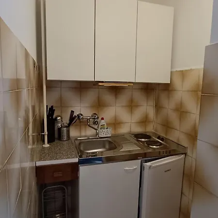 Gabriela بوريتش